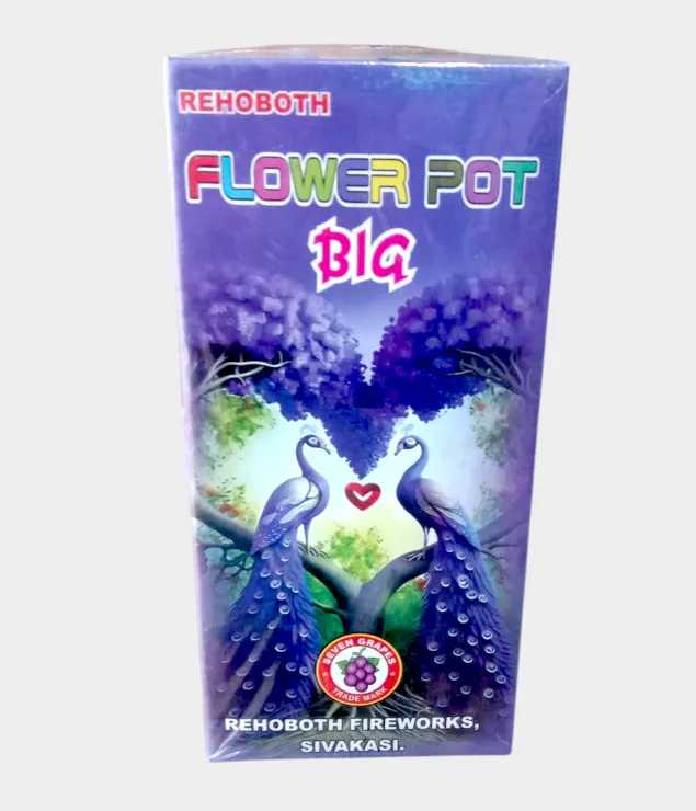 #12 Flower Pot Big